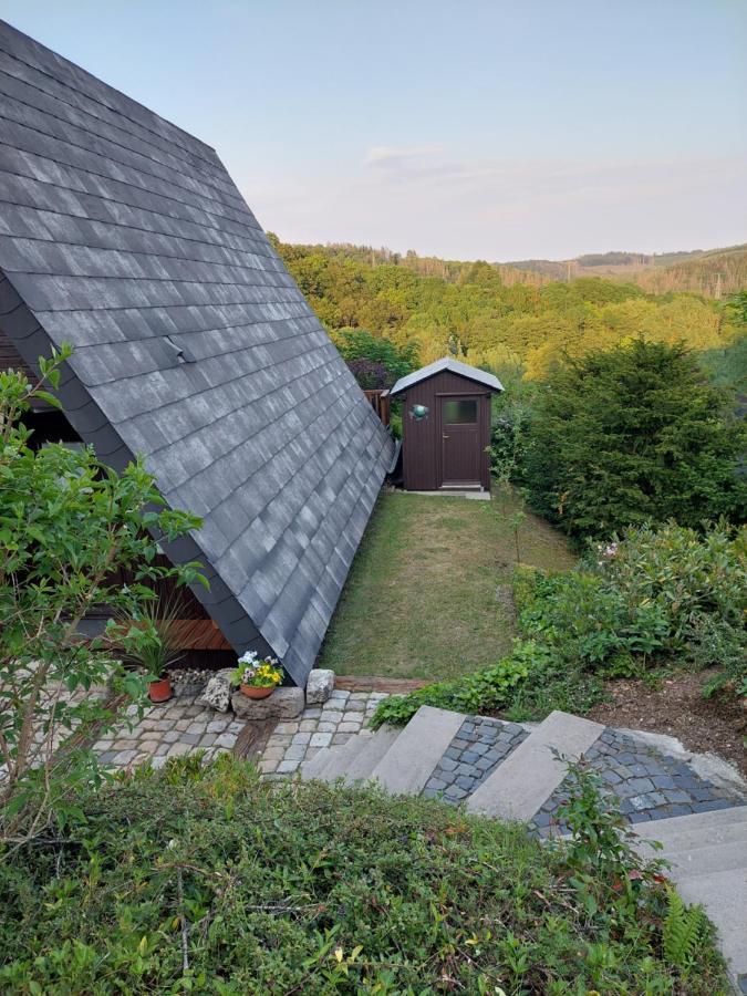 Haus Am See Willingen المظهر الخارجي الصورة