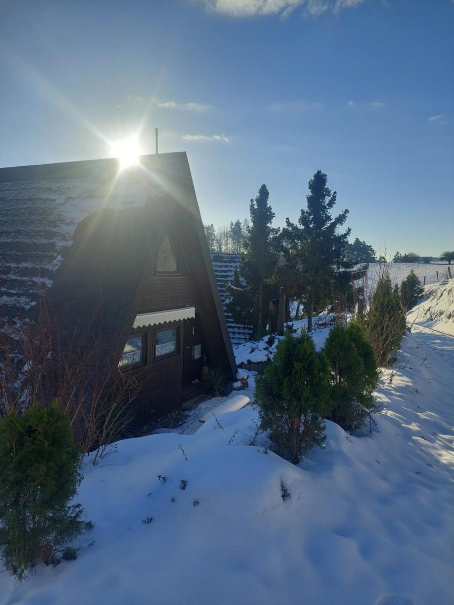 Haus Am See Willingen المظهر الخارجي الصورة